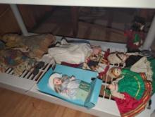 (GAR) Shelf Lot of Assorted Dolls in an Assortment of Sizes and Styles, What You See in the Photos