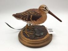 Common Snipe by Betty Porter-1988