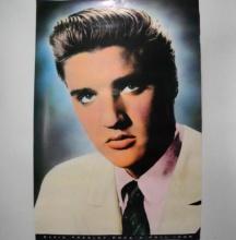 Elvis Presley Rock and Roll Icon Poster