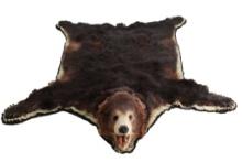 Montana Trophy Taxidermy Black Bear Felted Rug