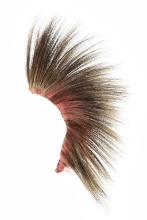 Ca. 1900-1930 Plains Porcupine Hair Roach