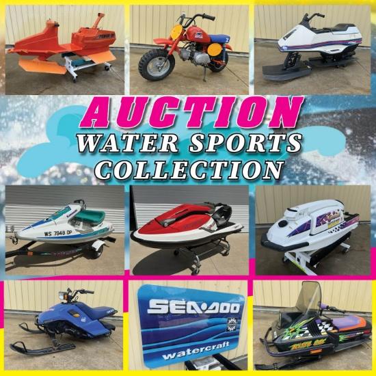 Vintage Water Sports Collection Auction