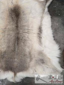 Animal Hide