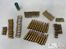 (95) Rounds of Misc Ammo