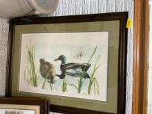 Mallard Print