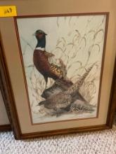 Pheasant Print