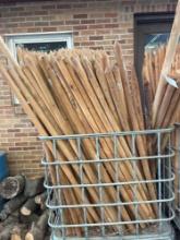 6ft Tree Stakes