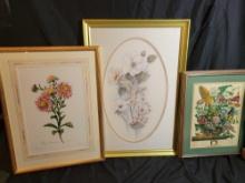 3 Assorted framed floral prints