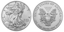 2021 American.999 Fine Silver Eagle Dollar Coin