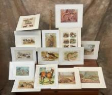 Lot Of 14 Hand Colored Engravings & Chromolithos
