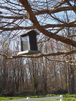 Bird feeder