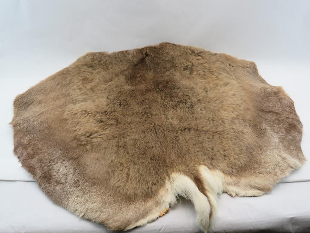 Assorted Pelts and Pieces