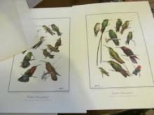 (2) Don Richard Eckelberry Hummingbird signed Prints