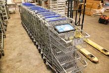 2-DECK SHOPPING CARTS