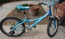 Trek Mt 60 Child's Bike